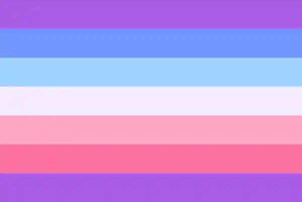 Bandeira boygirl: sete cores divididas em linhas horizontais: roxo no topo e no fundo, azul escuro, azul pastel, branco, rosa e rosa escuro.