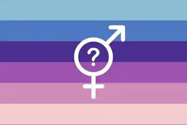 Bandeira boygirlthing: seis cores divididas em linhas horizontais, com um símbolo que funde o masculino e o feminino em um único, com um ponto de interrogação no centro:. azul claro, azul, azul escuro, roxo, rosa pastel e rosa claro.