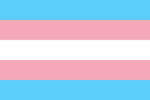 Bandeira transgênero: cinco cores divididas em linhas horizontais simétricas: azul claro, rosa claro e branco.
