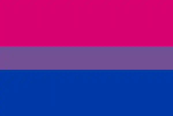 Bandeira bissexual: três cores divididas em linhas horizontais, com uma mais fina no meio: rosa, roxo e azul.