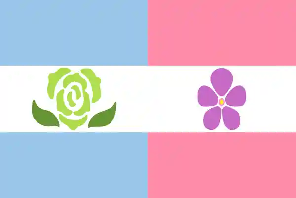 Bandeira sáfica aquileana: essa bandeira é uma união entre as bandeiras sáfica e aquileana: a bandeira sáfica, na esquerda, tem um rosa pastel nas linhas do topo e do fundo, com uma linha branca com um símbolo de flor roxa no centro. A bandeira aquileana, na direita, segue o mesmo esquema, mas com azul claro pastel e uma rosa verde como o símbolo.