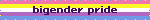 Blinkie: Bigender Pride